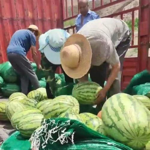 社会和吃瓜,吃瓜群众的围观与思考