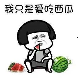 吃瓜总是快乐的