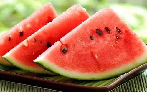 梦见我买了瓜种子吃,瓜种子的奇幻之旅